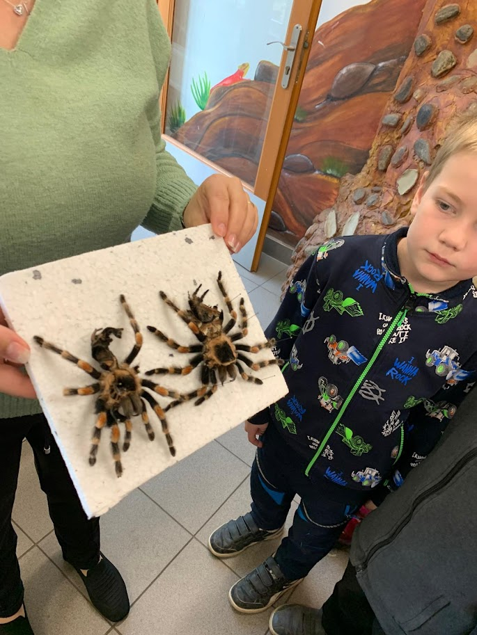 4. Příměstský přírodovědný tábor 2026