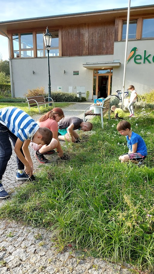 2. Příměstský přírodovědný tábor 2026