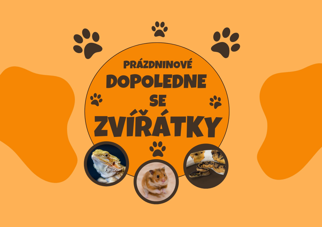 Prázdninové dopoledne se zvířátky