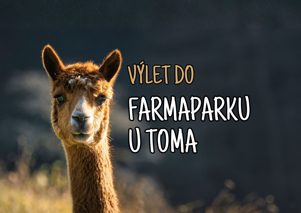Výlet do Farmaparku u Toma