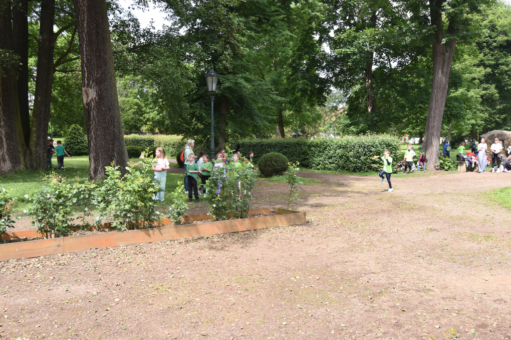 DSC_1651.JPG