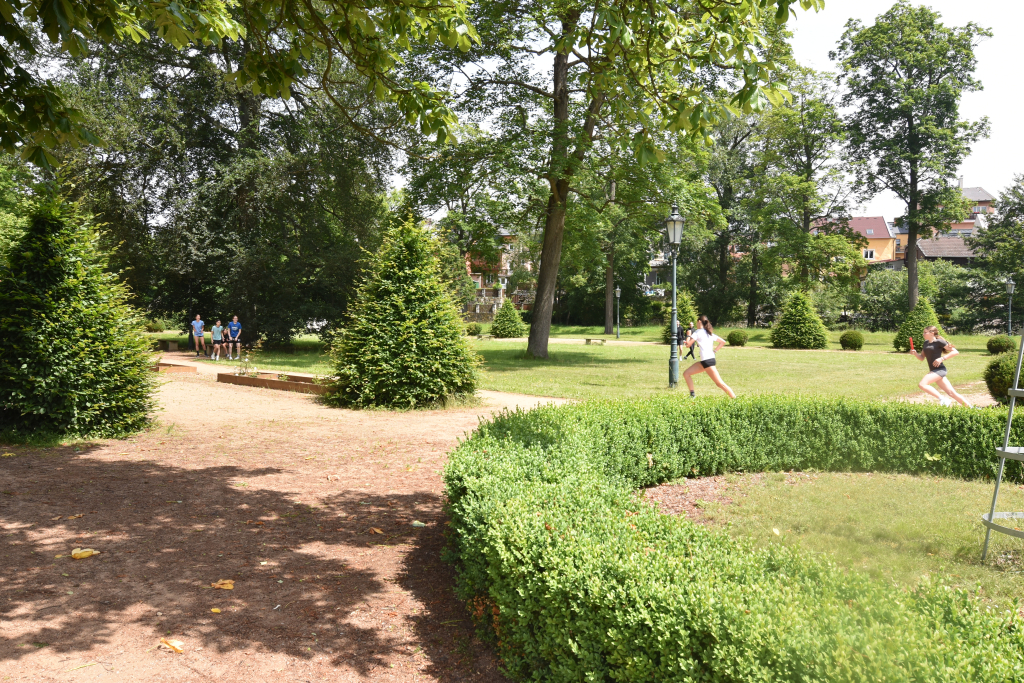 DSC_1914.JPG