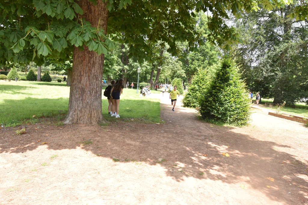 DSC_1916.JPG