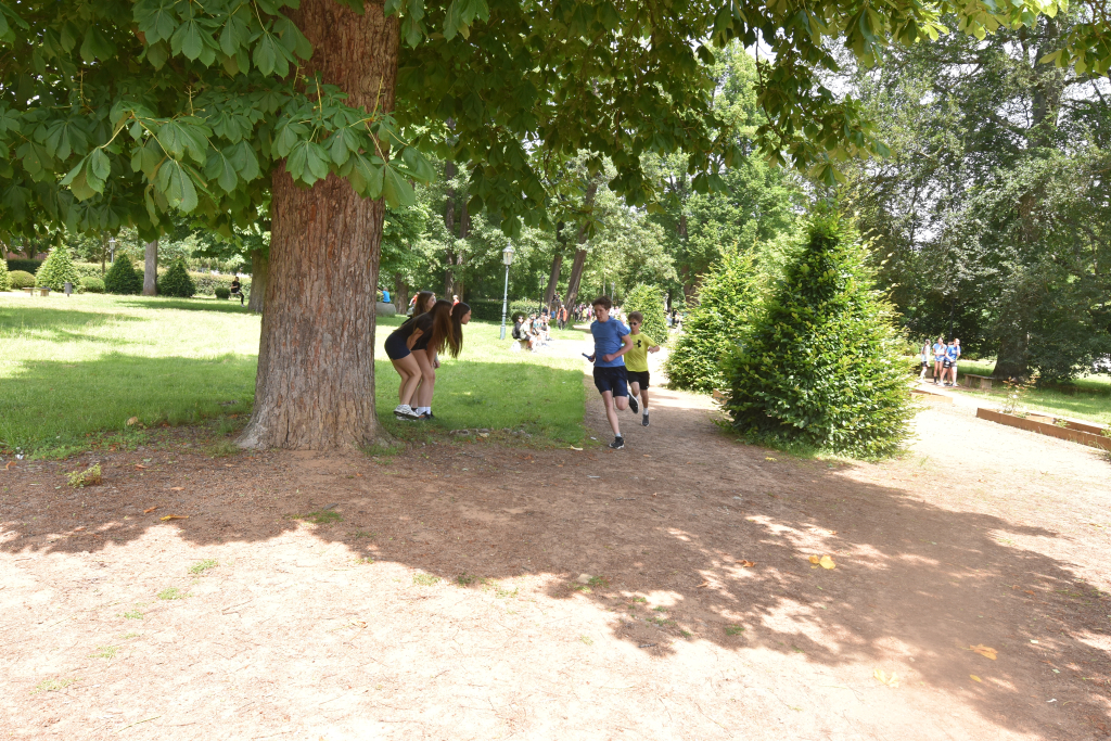 DSC_1917.JPG