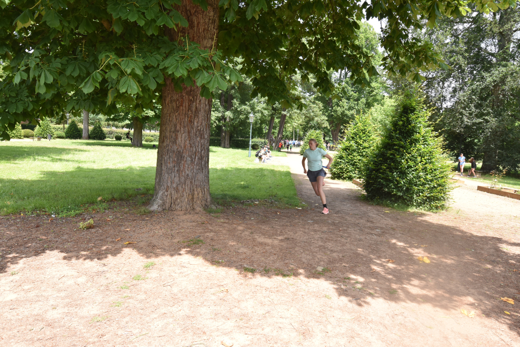 DSC_1920.JPG