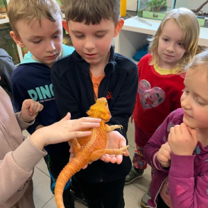 1. Příměstský přírodovědný tábor 2026