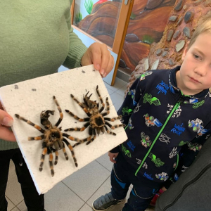 4. Příměstský přírodovědný tábor 2026