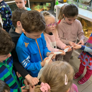 8. Příměstský přírodovědný tábor 2026