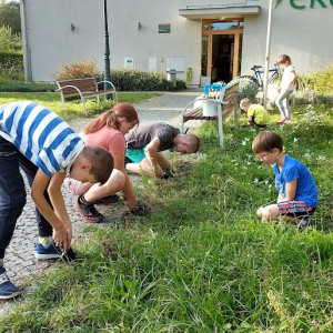 2. Příměstský přírodovědný tábor 2026