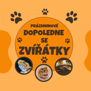 Prázdninové dopoledne se zvířátky