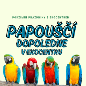 Papouščí dopoledne v Ekocentru