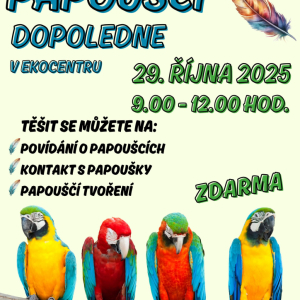 papouščí dopoledne .jpg