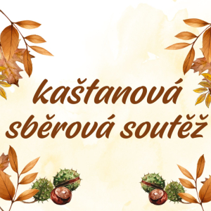 Kaštanová sběrová soutěž