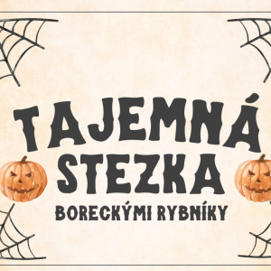 Tajemná stezka Boreckými rybníky