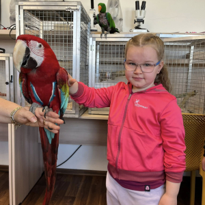 Dopoledne s papoušky 2025