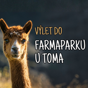 Výlet do Farmaparku u Toma