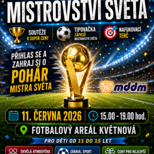 Fotbalový turnaj : Mistrovství světa⚽