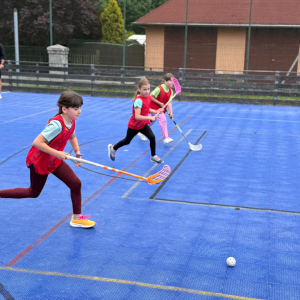 Olympiáda ostrovských škol - 1. stupeň