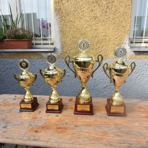 Olympiáda ostrovských škol - 2. stupeň