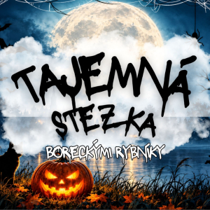 Tajemná stezka Boreckými rybníky