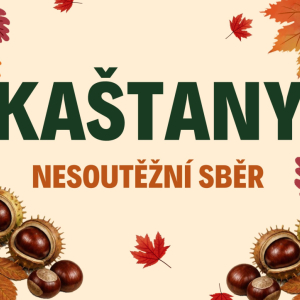 Sběr kaštanů